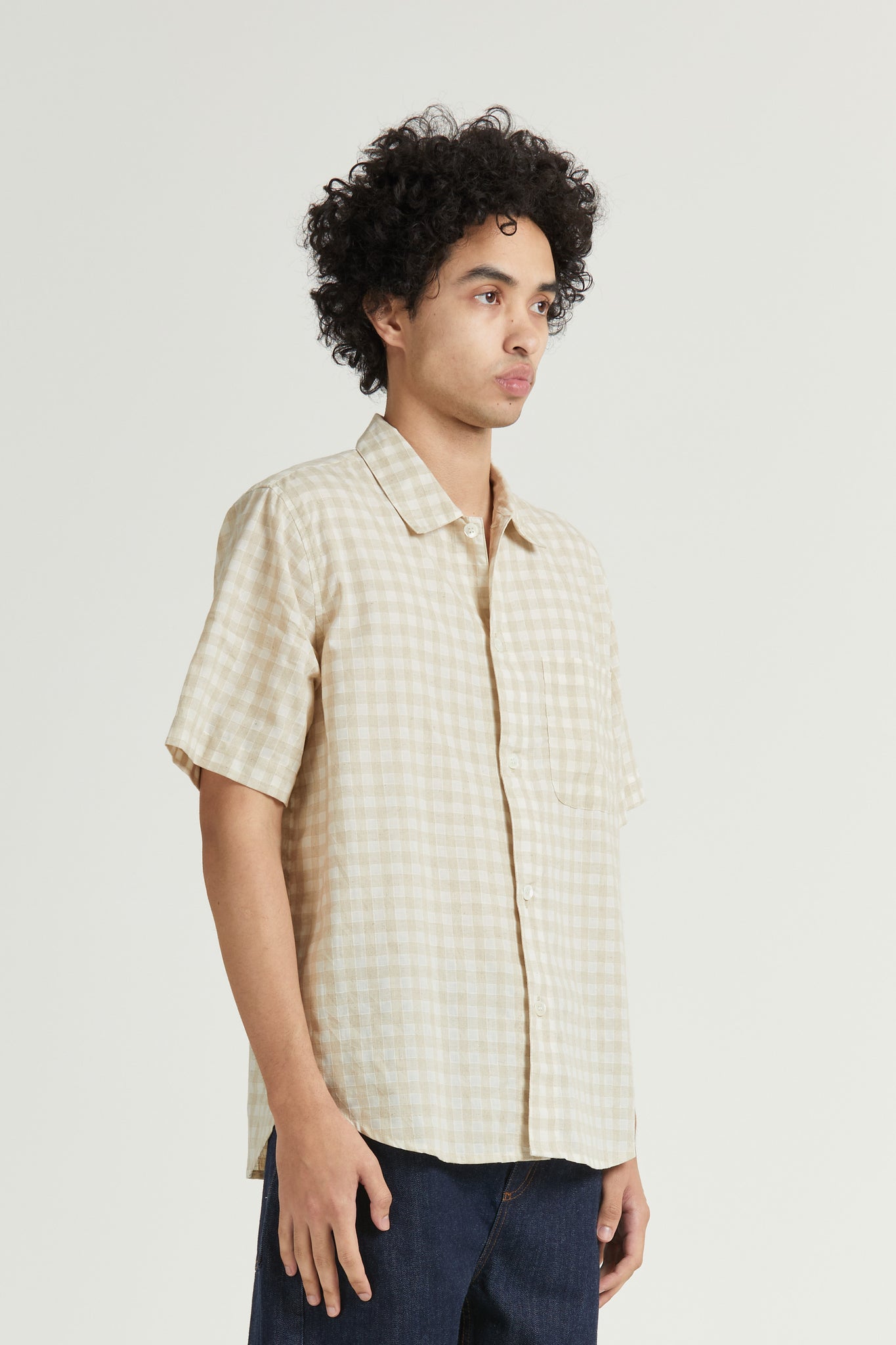 Short Sleeve Curve Shirt, Crinkle Check