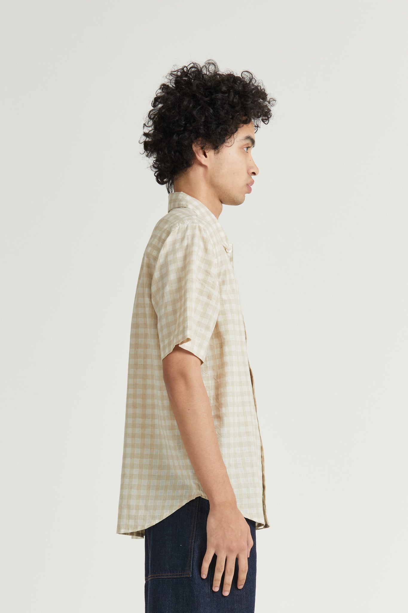 Short Sleeve Curve Shirt, Crinkle Check