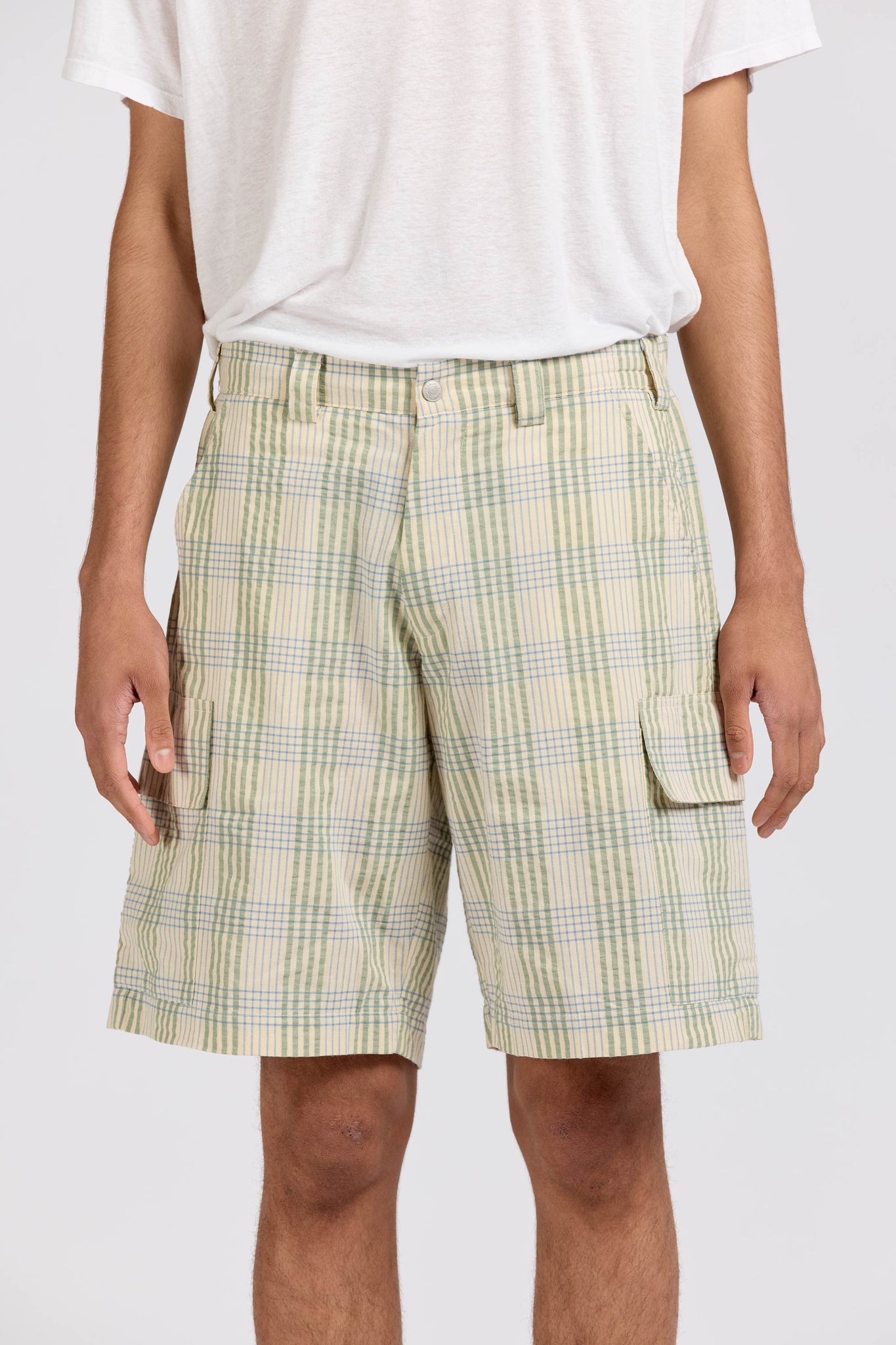 Cargo Shorts, Iceberg Check
