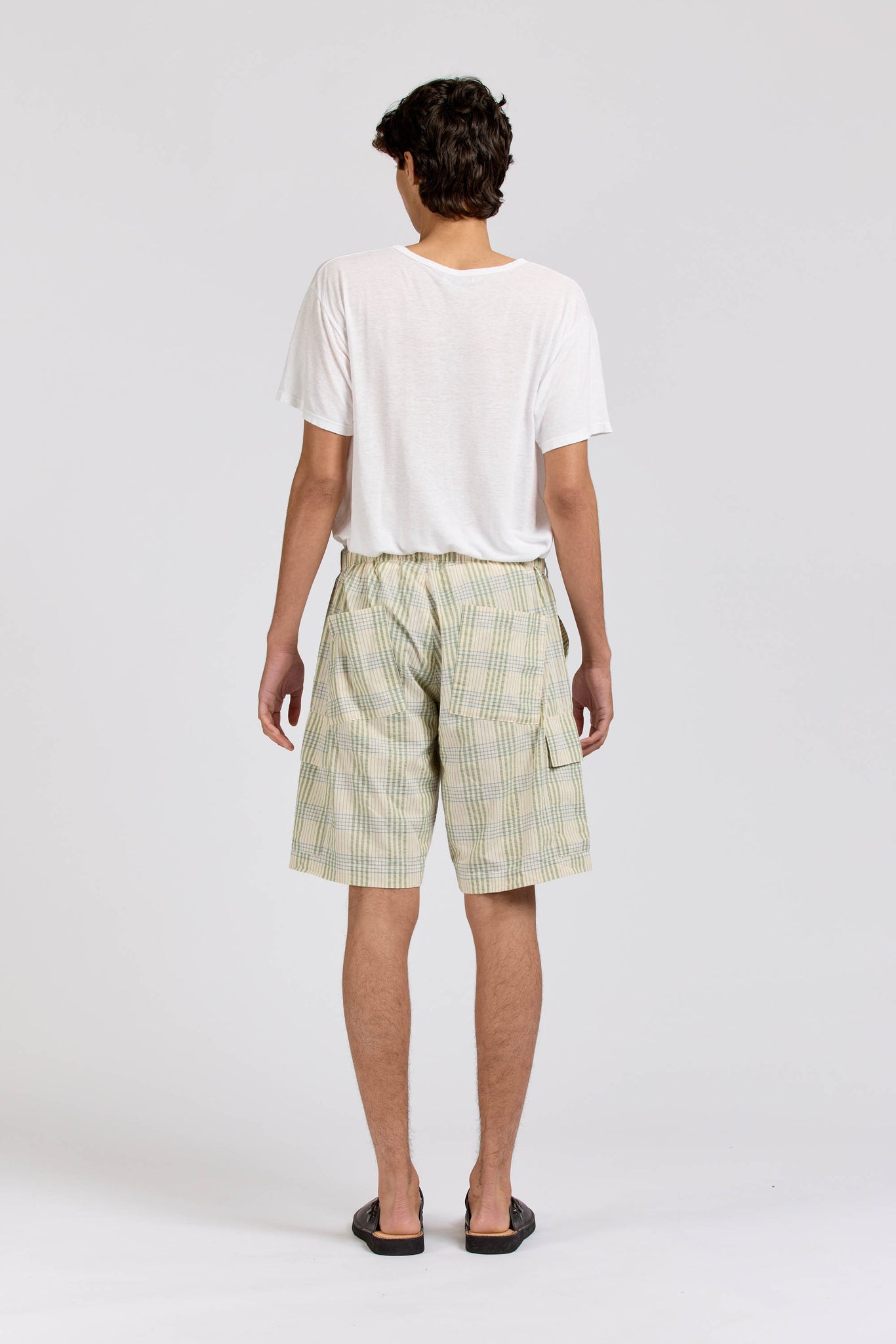 Cargo Shorts, Iceberg Check